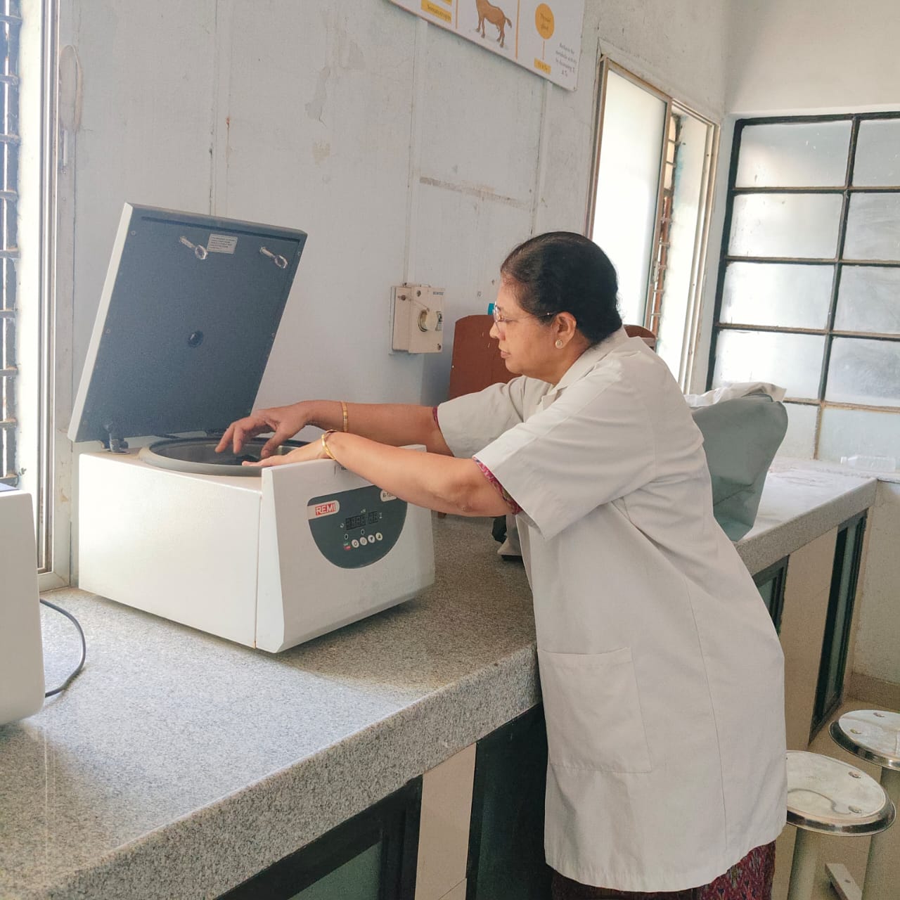 Physiology Gallery (4)